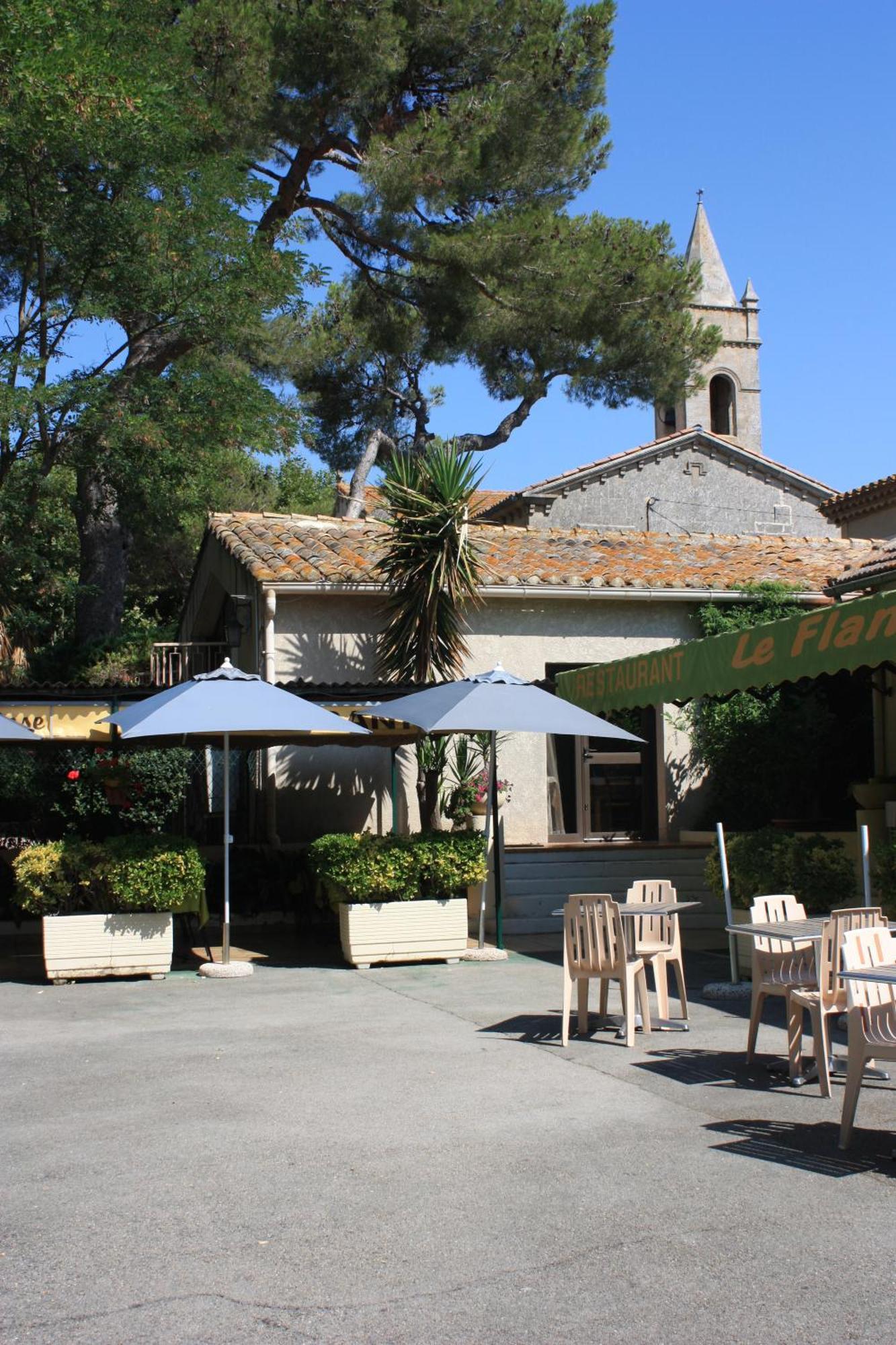Logis Hotel Restaurant Le Flamant Rose Camargue Albaron Екстериор снимка